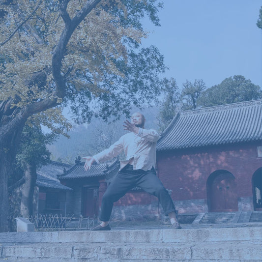Die 5 Säulen der Shaolin Mönche: Ganzheitliche Kraft für Körper, Geist und Seele - Deivi
